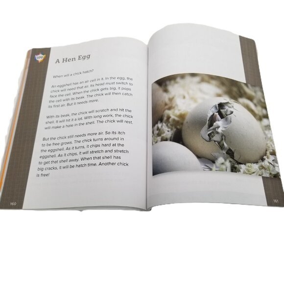 SRA FLEX Literacy Decodable Reader McGraw Hill Phonics Beginning Reading - Picture 6 of 10